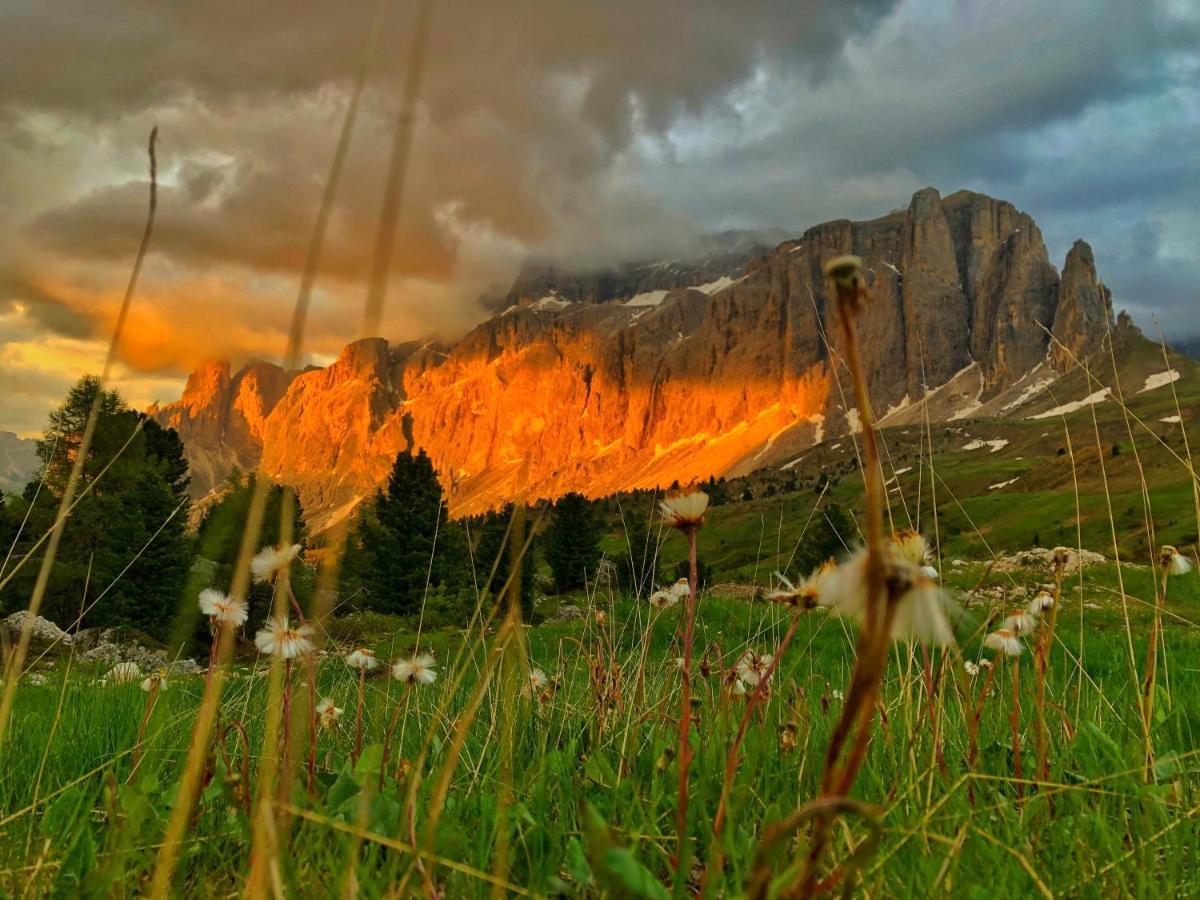 Passo Sella Dolomiti Mountain Resort Selva di Val Gardena Bagian luar foto